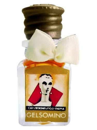 Gelsomino
