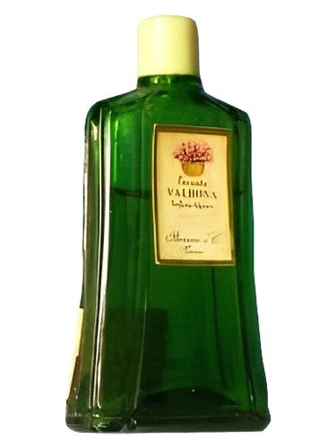 Lavanda Valbona