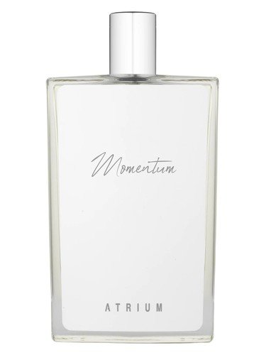 Momentum