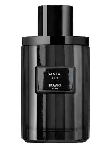 Santal Fig