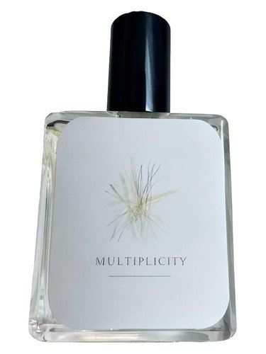 Multiplicity