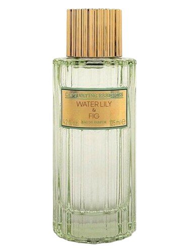Water Lily & Fig