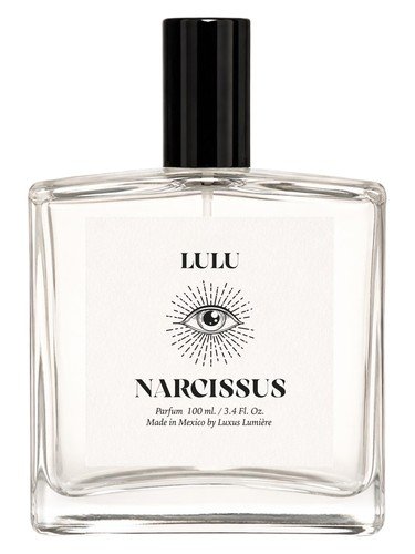 Narcissus