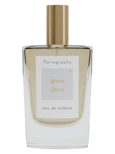 No. 41 White Birch