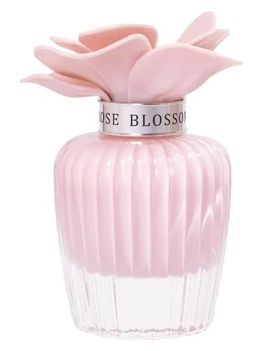 Nasma Rose Blossom