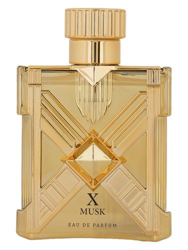 X Musk