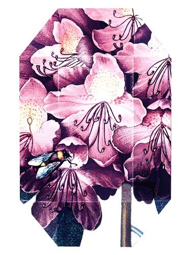 Print Collection Stella 01 (2011)