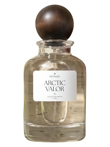 Arctic Valor