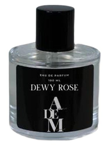 Dewy Rose