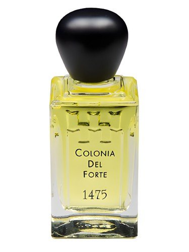 Colonia del Forte 1475