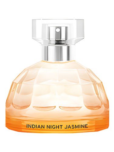 Indian Night Jasmine