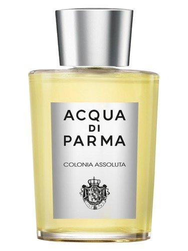 Colonia Assoluta