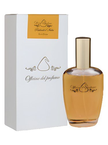 Patchouli d’Italia