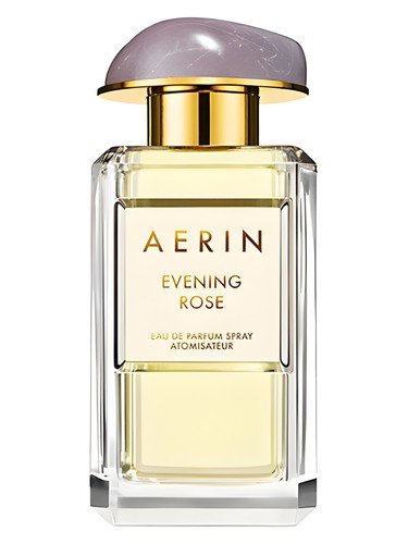 Evening Rose