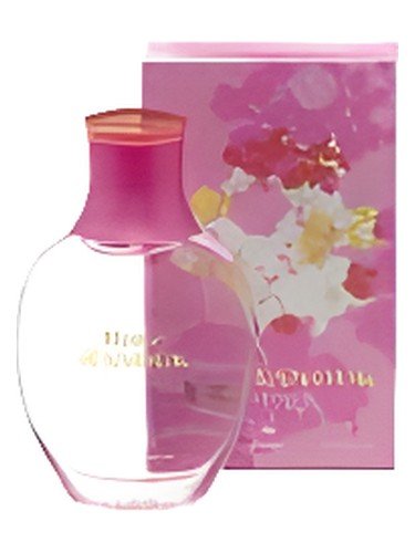 Rose d’Anouk