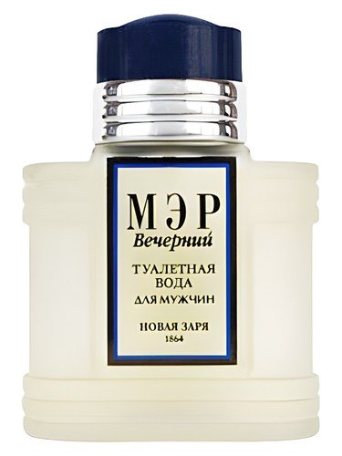 Мэр Вечерний (Mayor Night)