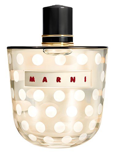 Marni Rose