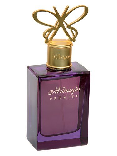 Midnight Promise