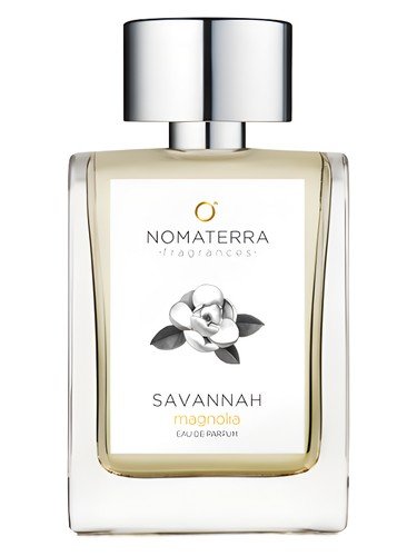 Savannah Magnolia