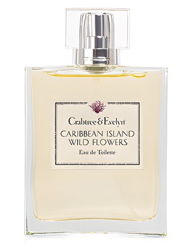 Caribbean Island Wild Flowers
