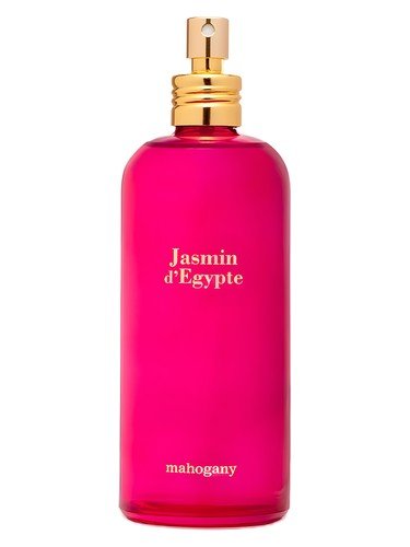 Jasmin D’Egypte