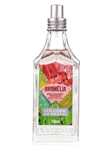 Bromélia