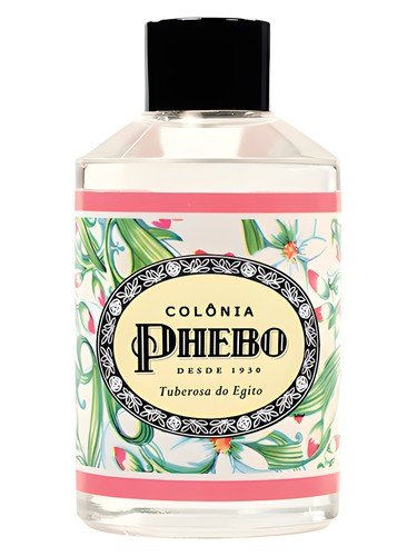 Tuberosa do Egito