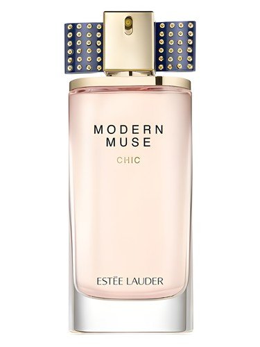 Modern Muse Chic