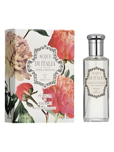 Peonia di Amalfi