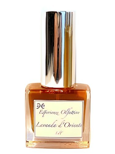 Lavanda d’Oriente