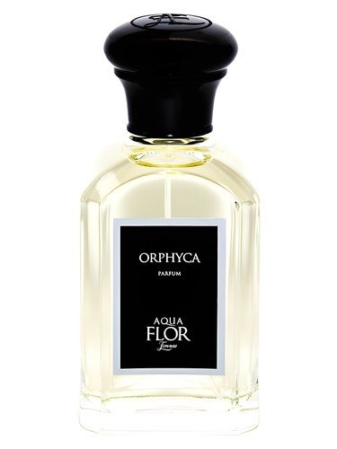 Orphyca
