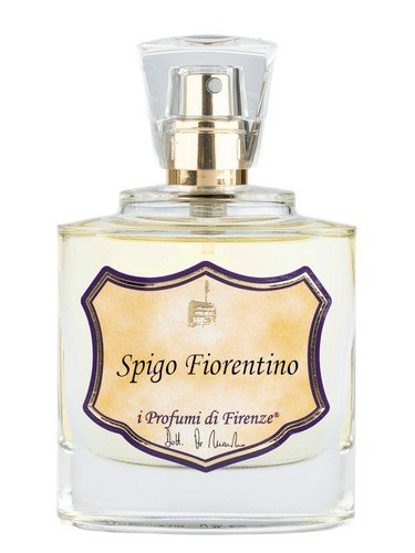 Spigo Fiorentino Lavanda Oxford