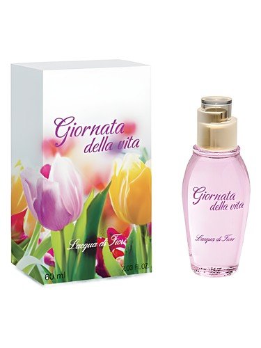 Giornata della Vita