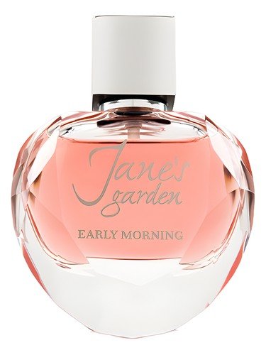 Jane’s Garden Early Morning
