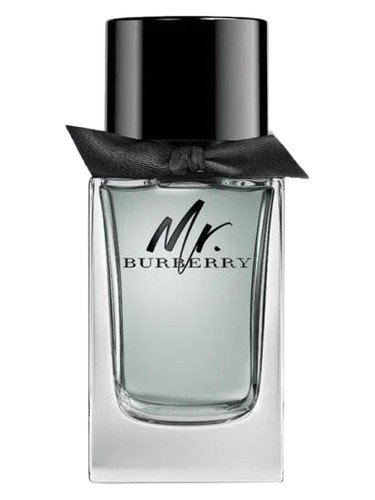Mr. Burberry