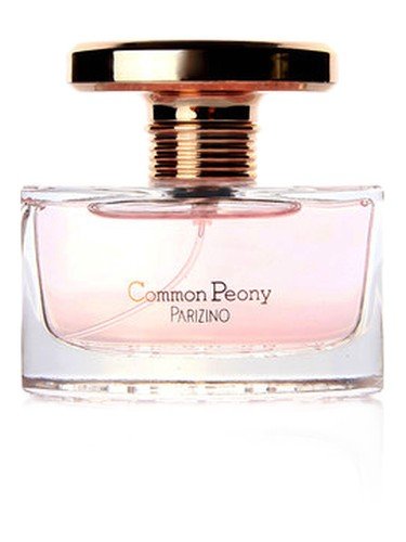 Common Peony 国色天香
