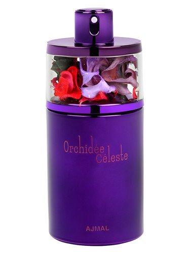 Orchidee Celeste