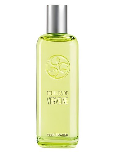 Feuilles de Verveine