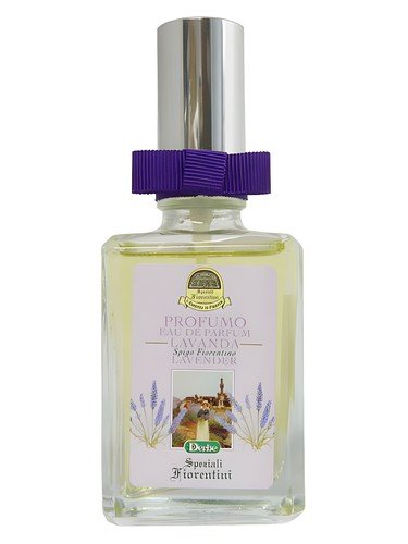 Lavanda