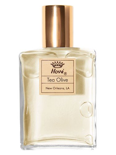 Tea Olive