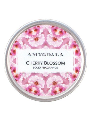 Cherry Blossom