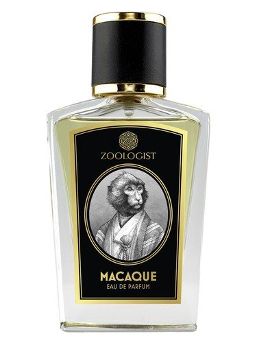 Macaque
