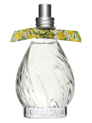 Flor de Graviola
