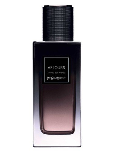 Velours Vanille – Bois Ambres