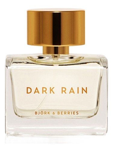 Dark Rain