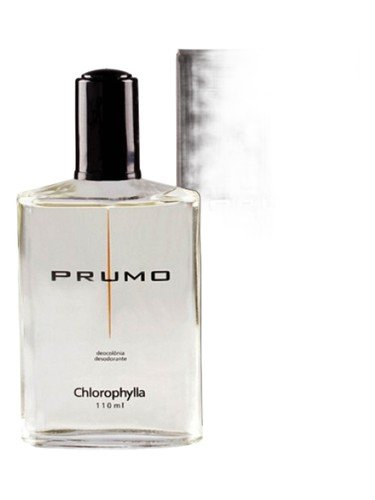 Prumo
