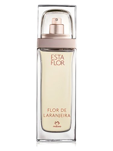 Esta Flor Flor de Laranjeira