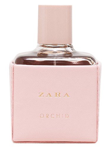 Zara Orchid 2016