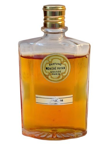 Jasmin