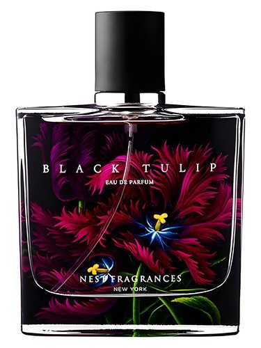 Black Tulip